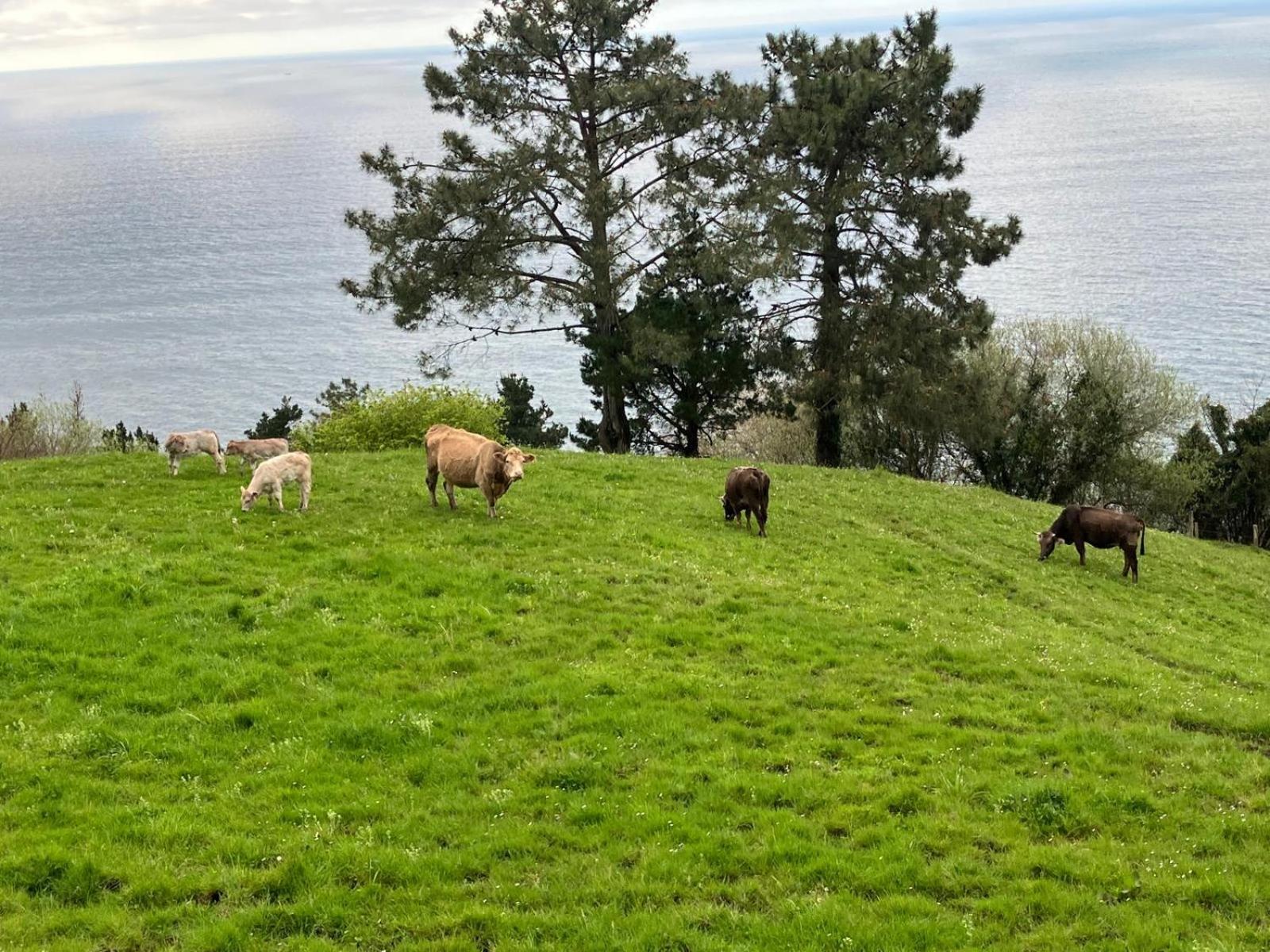 Casa rural Itxaspe *