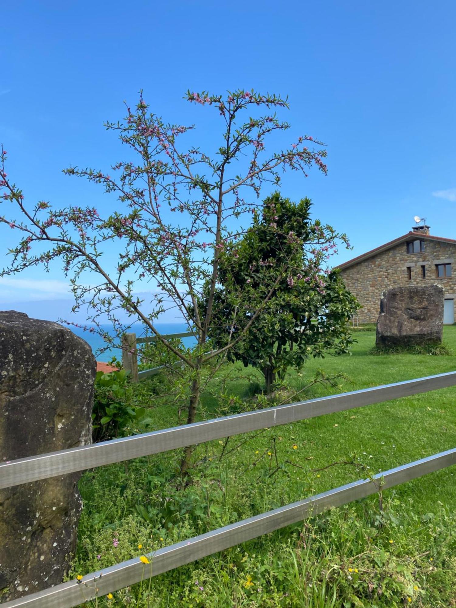 Itxaspe Casa rural Orio